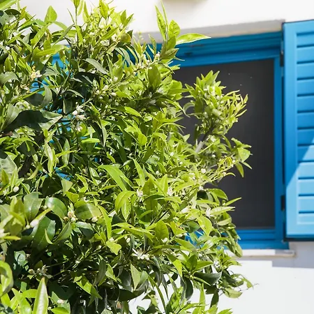 Holiday home Paradis Beach Molos (Paros)
